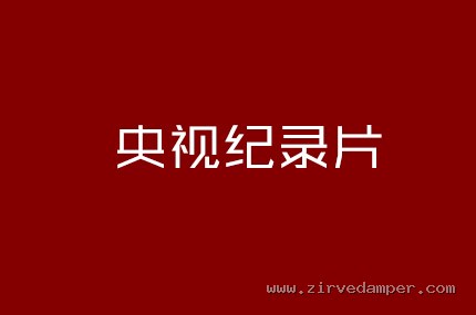 央视纪录片