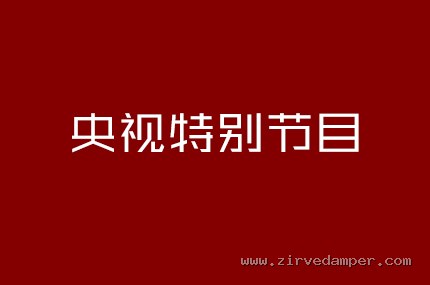 央视特别节目
